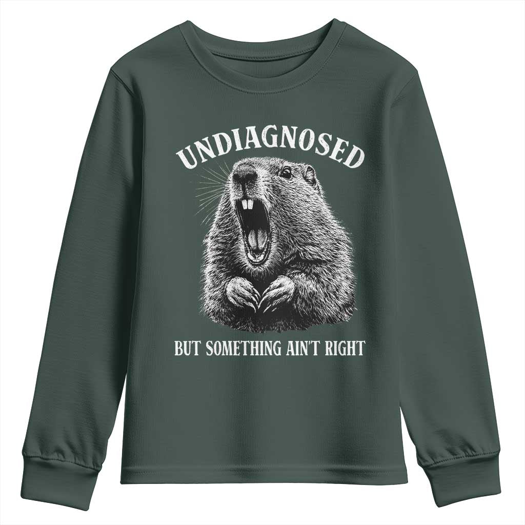 Funny Groundhog Meme Undiagnosed But Something Aint Right Youth Sweatshirt TS10 Dark Forest Green Print Your Wear