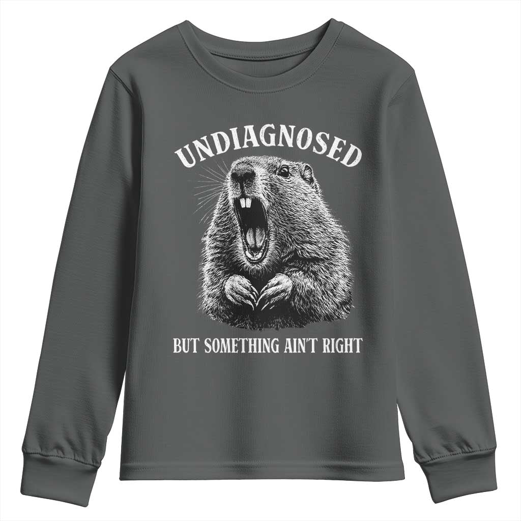 Funny Groundhog Meme Undiagnosed But Something Aint Right Youth Sweatshirt TS10 Dark Heather Print Your Wear