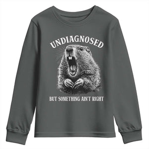 Funny Groundhog Meme Undiagnosed But Something Aint Right Youth Sweatshirt TS10 Dark Heather Print Your Wear