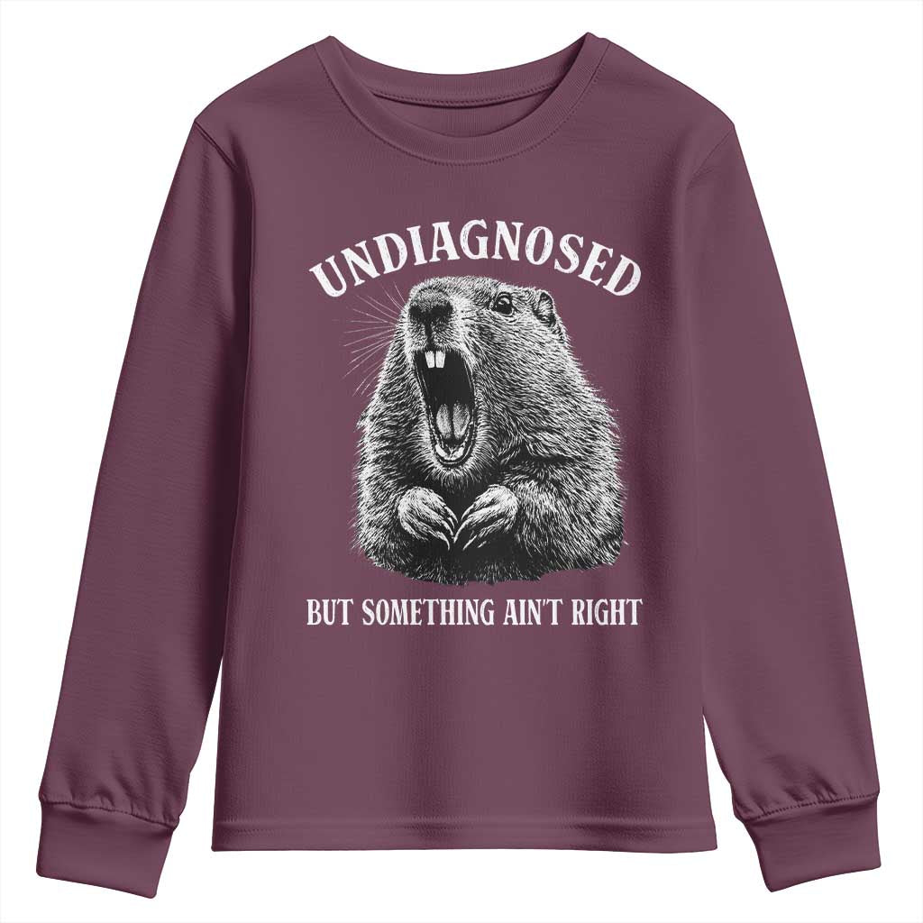 Funny Groundhog Meme Undiagnosed But Something Aint Right Youth Sweatshirt TS10 Maroon Print Your Wear