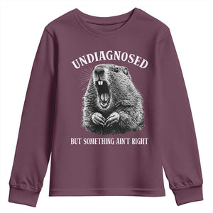 Funny Groundhog Meme Undiagnosed But Something Aint Right Youth Sweatshirt TS10 Maroon Print Your Wear