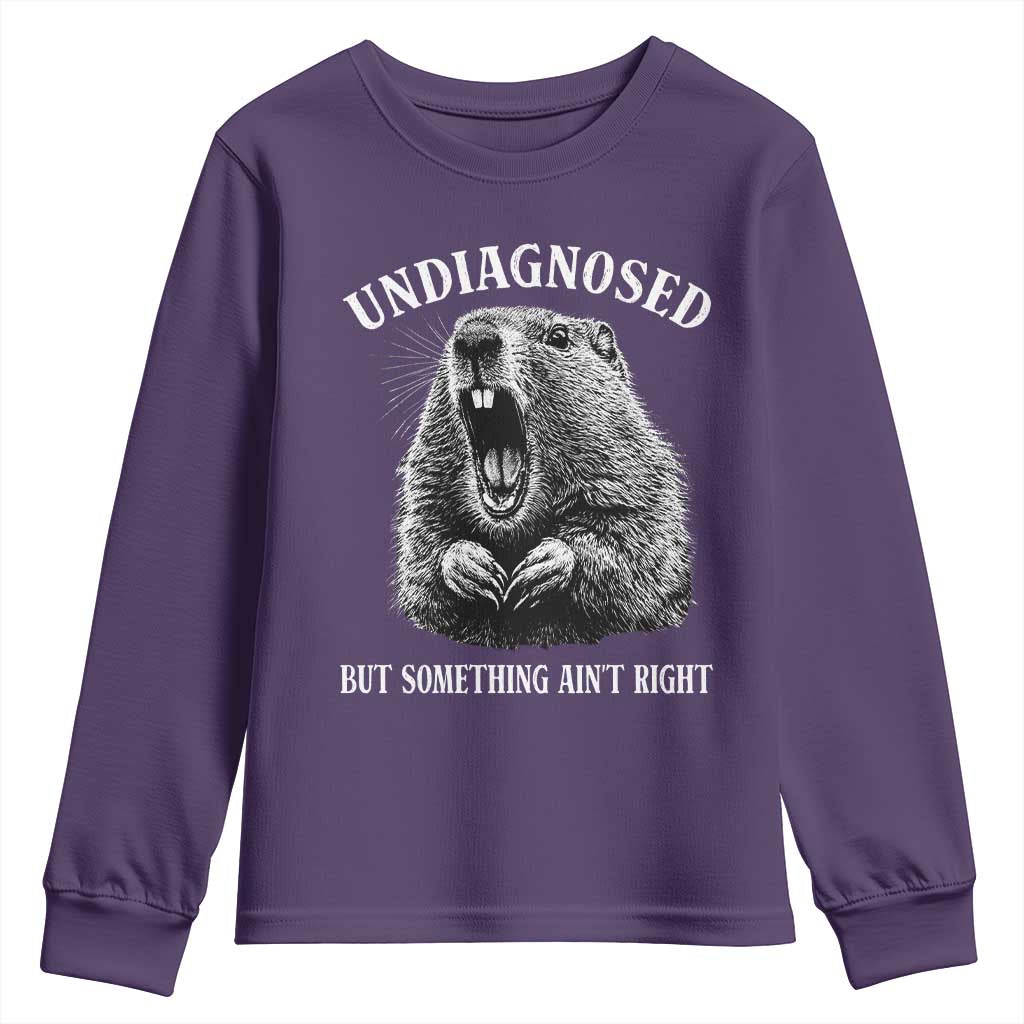 Funny Groundhog Meme Undiagnosed But Something Aint Right Youth Sweatshirt TS10 Purple Print Your Wear