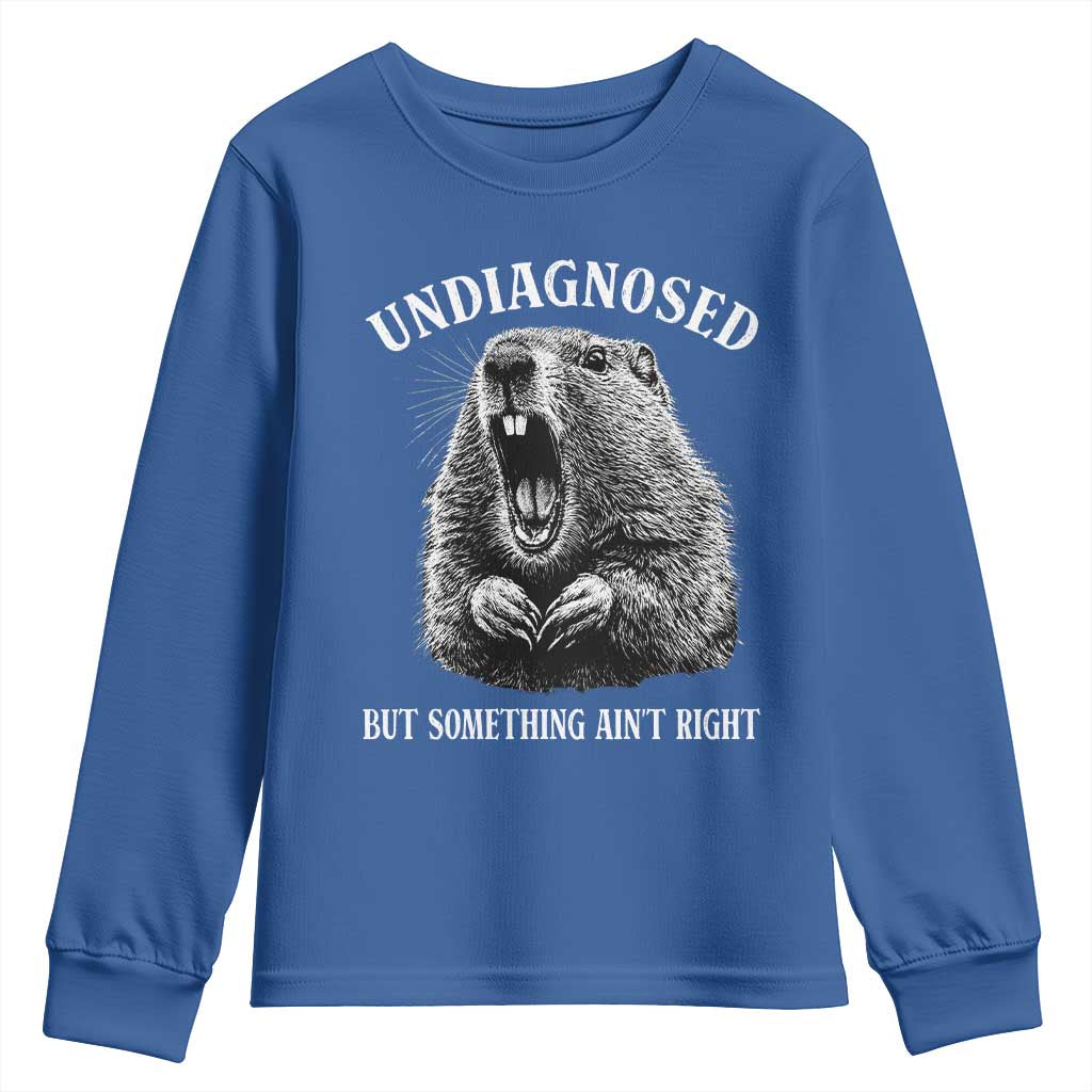 Funny Groundhog Meme Undiagnosed But Something Aint Right Youth Sweatshirt TS10 Royal Blue Print Your Wear