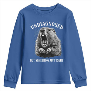 Funny Groundhog Meme Undiagnosed But Something Aint Right Youth Sweatshirt TS10 Royal Blue Print Your Wear