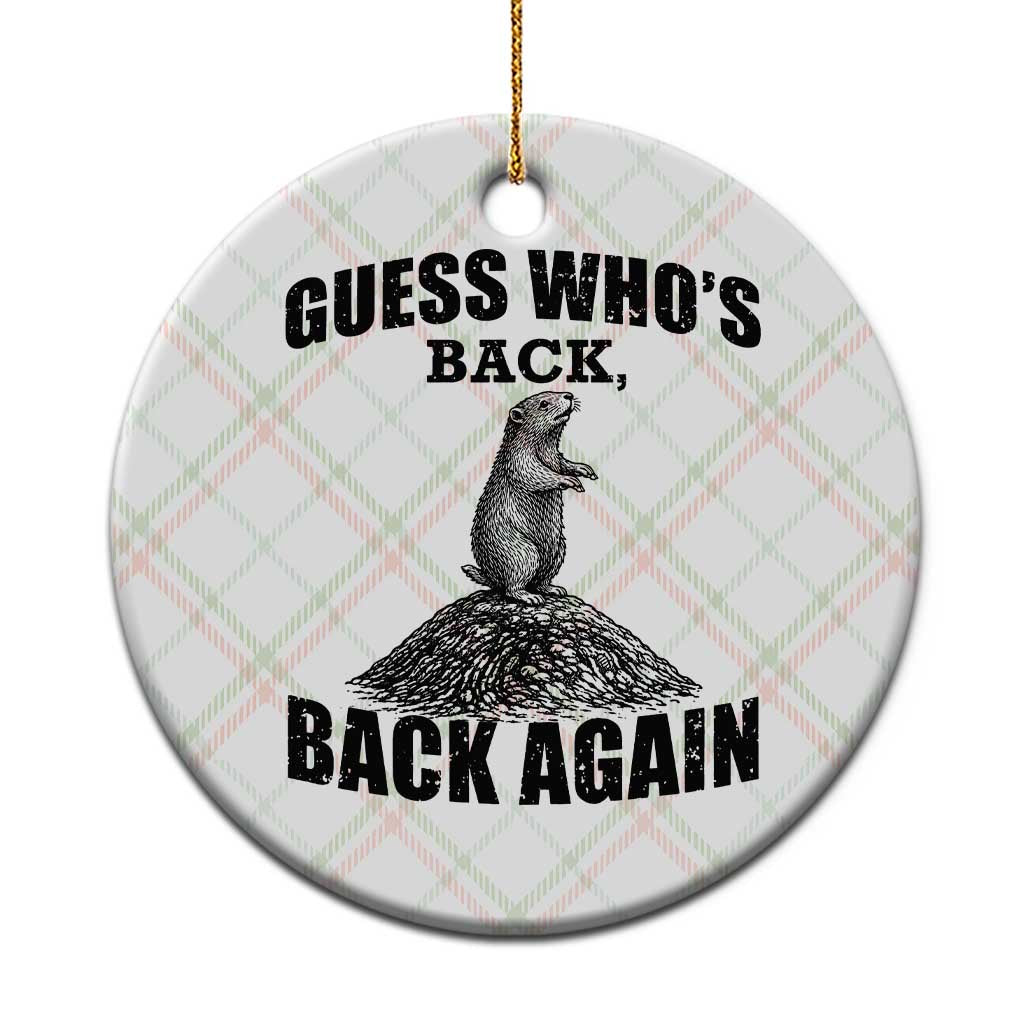 Funny Groundhog Day Ceramic Ornament Retro Guess Whos Back TS10 1pc Christmas Plaid Print Your Wear