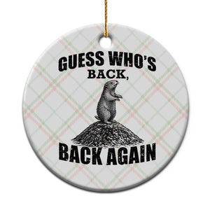 Funny Groundhog Day Ceramic Ornament Retro Guess Whos Back TS10 1pc Christmas Plaid Print Your Wear