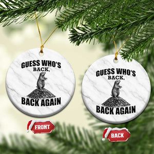 Funny Groundhog Day Ceramic Ornament Retro Guess Whos Back TS10 1pc White Marble Print Your Wear