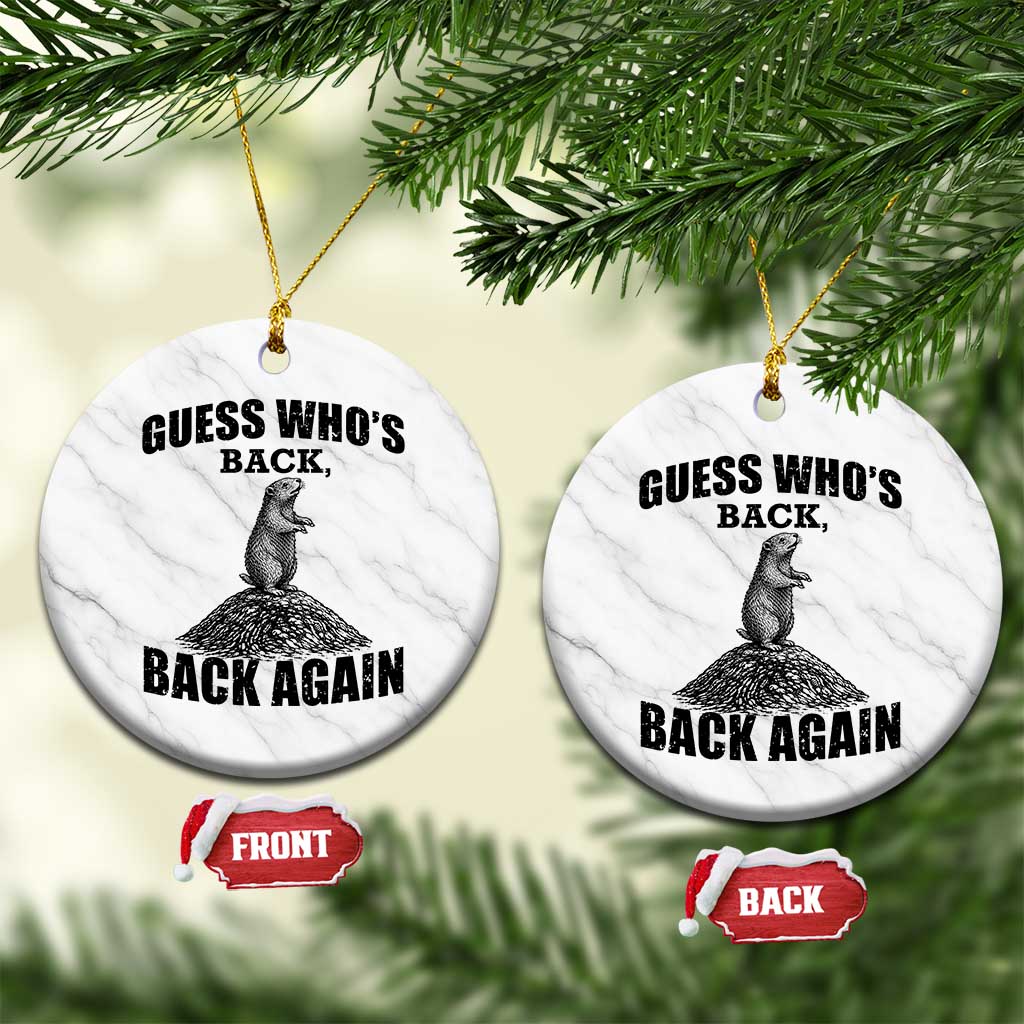 Funny Groundhog Day Ceramic Ornament Retro Guess Whos Back TS10 1pc White Marble Print Your Wear