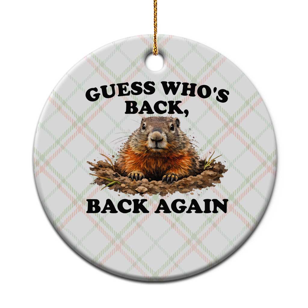 Groundhog Day Ceramic Ornament Funny Woodchuck Guess Whos Back TS10 1pc Christmas Plaid Print Your Wear