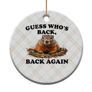 Groundhog Day Ceramic Ornament Funny Woodchuck Guess Whos Back TS10 1pc Christmas Plaid Print Your Wear