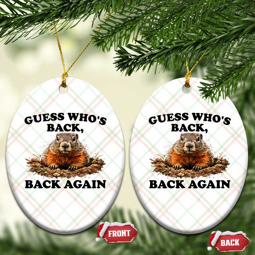 Groundhog Day Ceramic Ornament Funny Woodchuck Guess Whos Back TS10 Print Your Wear