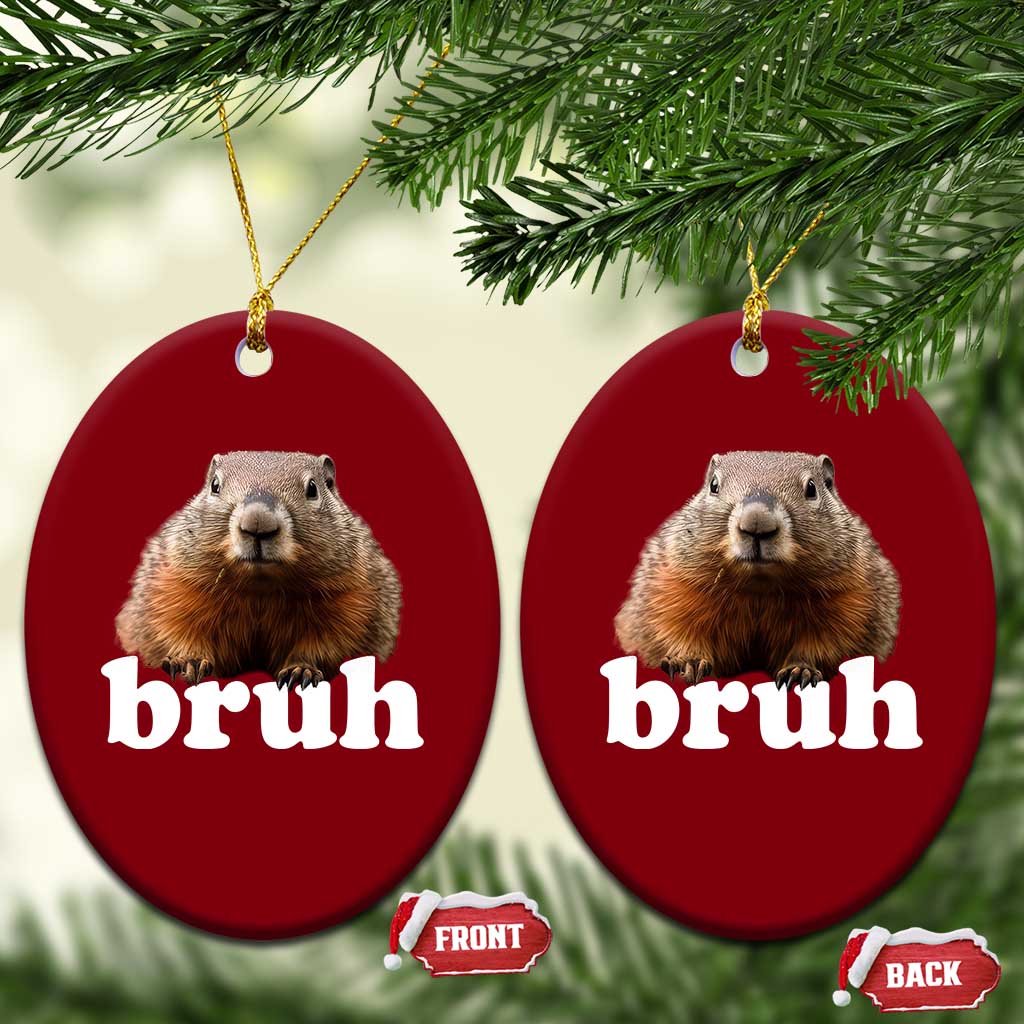 Bruh Groundhog Ceramic Ornament Funny Woodchuck Youth Teens Kids Slang TS10 Print Your Wear