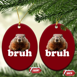 Bruh Groundhog Ceramic Ornament Funny Woodchuck Youth Teens Kids Slang TS10 Print Your Wear