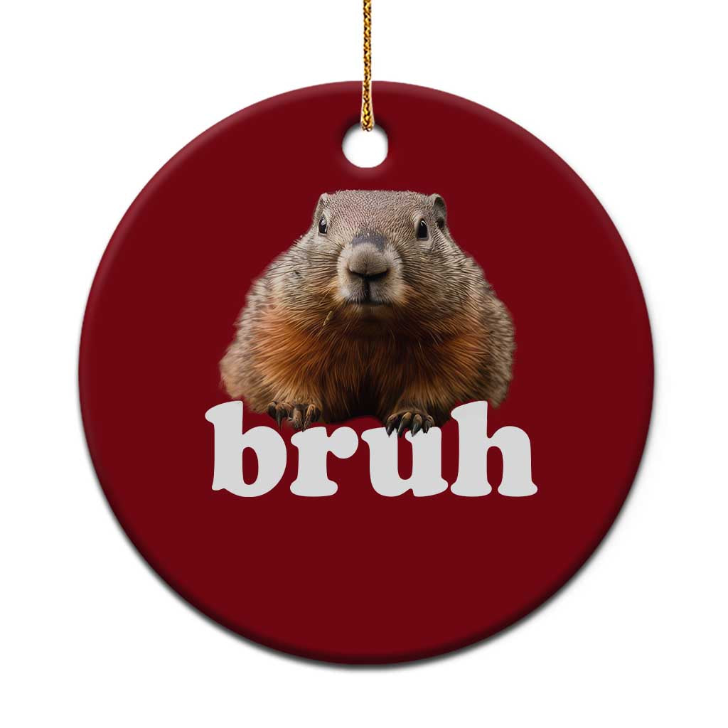 Bruh Groundhog Ceramic Ornament Funny Woodchuck Youth Teens Kids Slang TS10 1pc Red Print Your Wear
