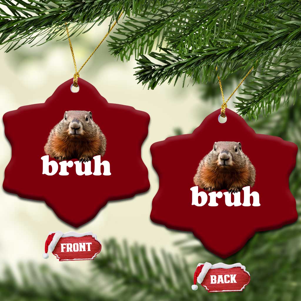 Bruh Groundhog Ceramic Ornament Funny Woodchuck Youth Teens Kids Slang TS10 Print Your Wear