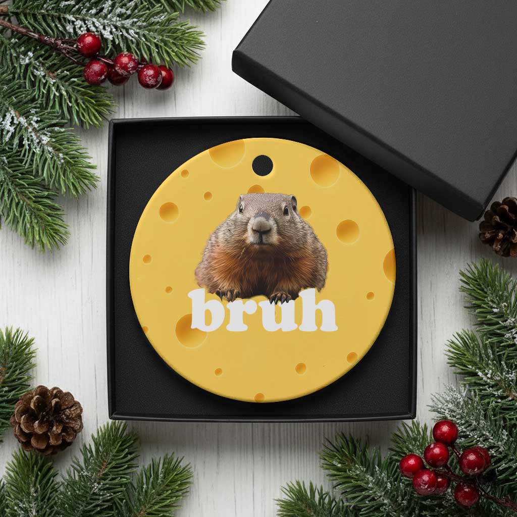 Bruh Groundhog Ceramic Ornament Funny Woodchuck Youth Teens Kids Slang TS10 1pc Yellow Cheese Print Your Wear