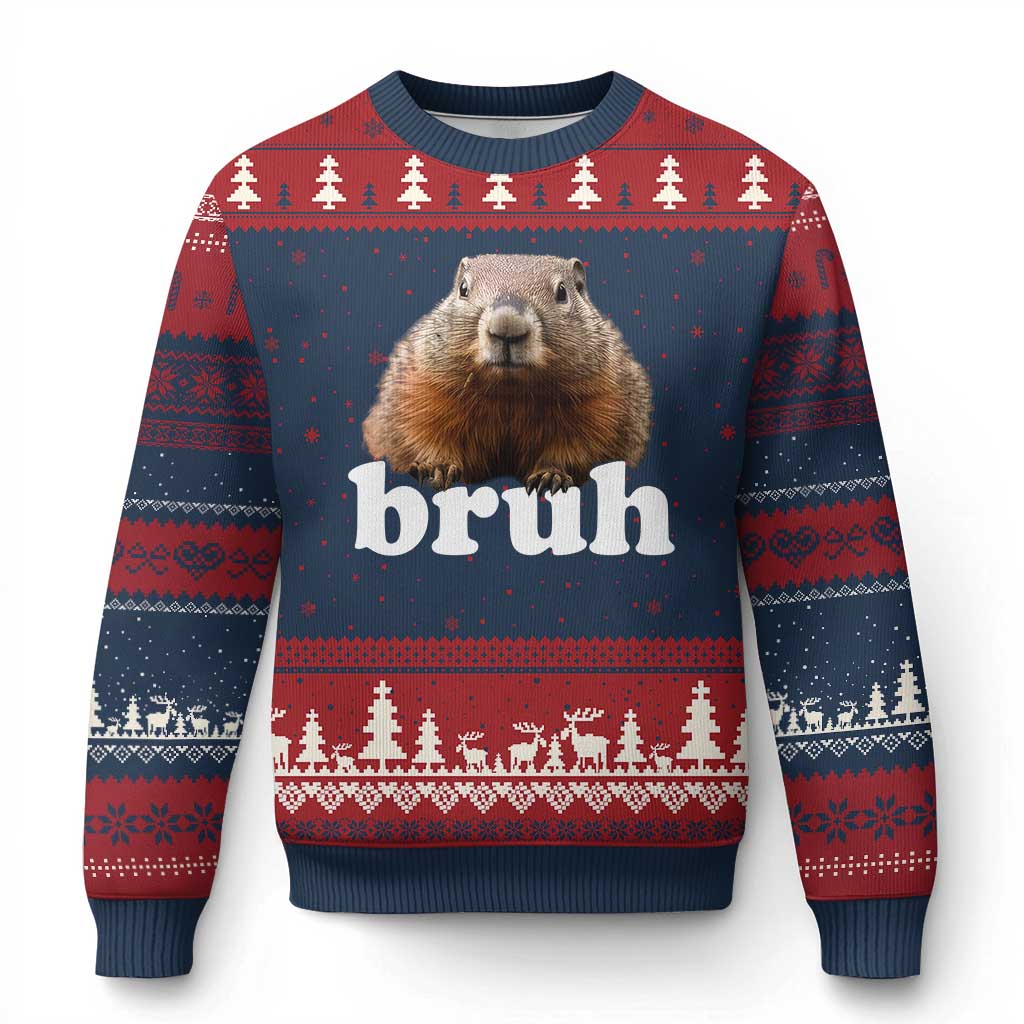 Bruh Groundhog Ugly Christmas Sweater Funny Woodchuck Youth Teens Kids Slang TS10 Navy Red Print Your Wear