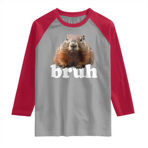 Bruh Groundhog Raglan Shirt Funny Woodchuck Youth Teens Kids Slang TS10 Sport Gray Red Print Your Wear