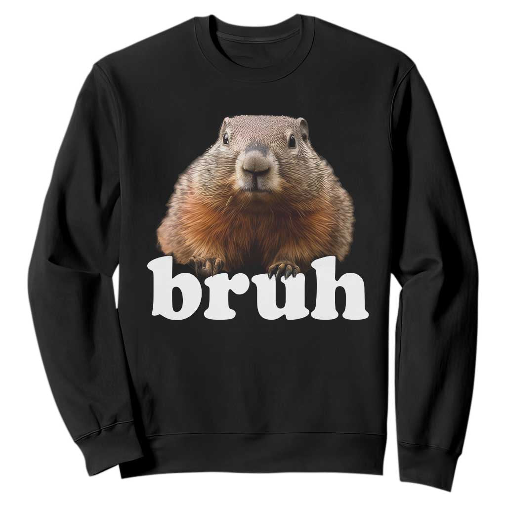 Bruh Groundhog Sweatshirt Funny Woodchuck Youth Teens Kids Slang TS10 Black Print Your Wear