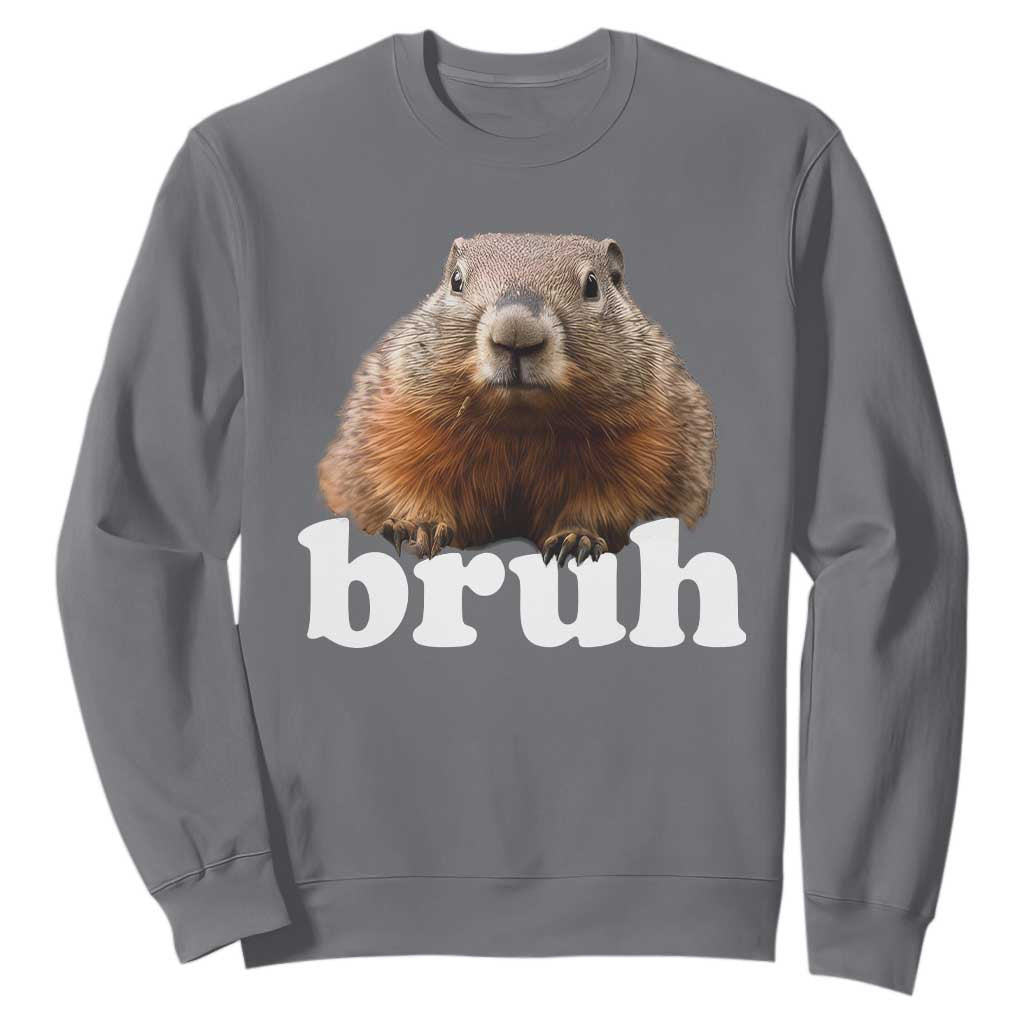 Bruh Groundhog Sweatshirt Funny Woodchuck Youth Teens Kids Slang TS10 Charcoal Print Your Wear