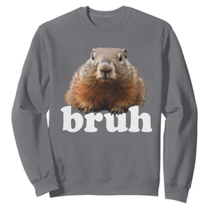 Bruh Groundhog Sweatshirt Funny Woodchuck Youth Teens Kids Slang TS10 Charcoal Print Your Wear