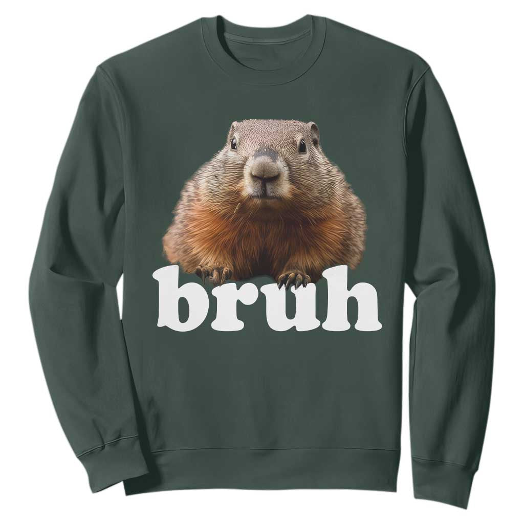 Bruh Groundhog Sweatshirt Funny Woodchuck Youth Teens Kids Slang TS10 Dark Forest Green Print Your Wear