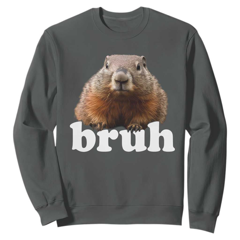 Bruh Groundhog Sweatshirt Funny Woodchuck Youth Teens Kids Slang TS10 Dark Heather Print Your Wear