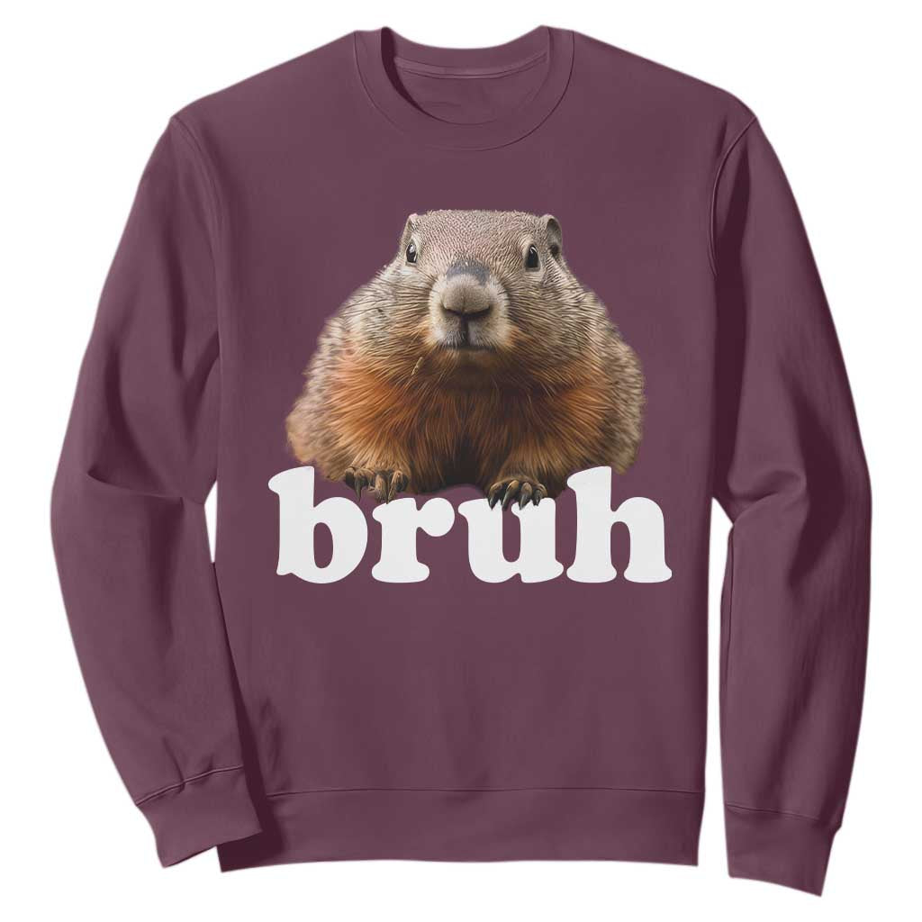 Bruh Groundhog Sweatshirt Funny Woodchuck Youth Teens Kids Slang TS10 Maroon Print Your Wear