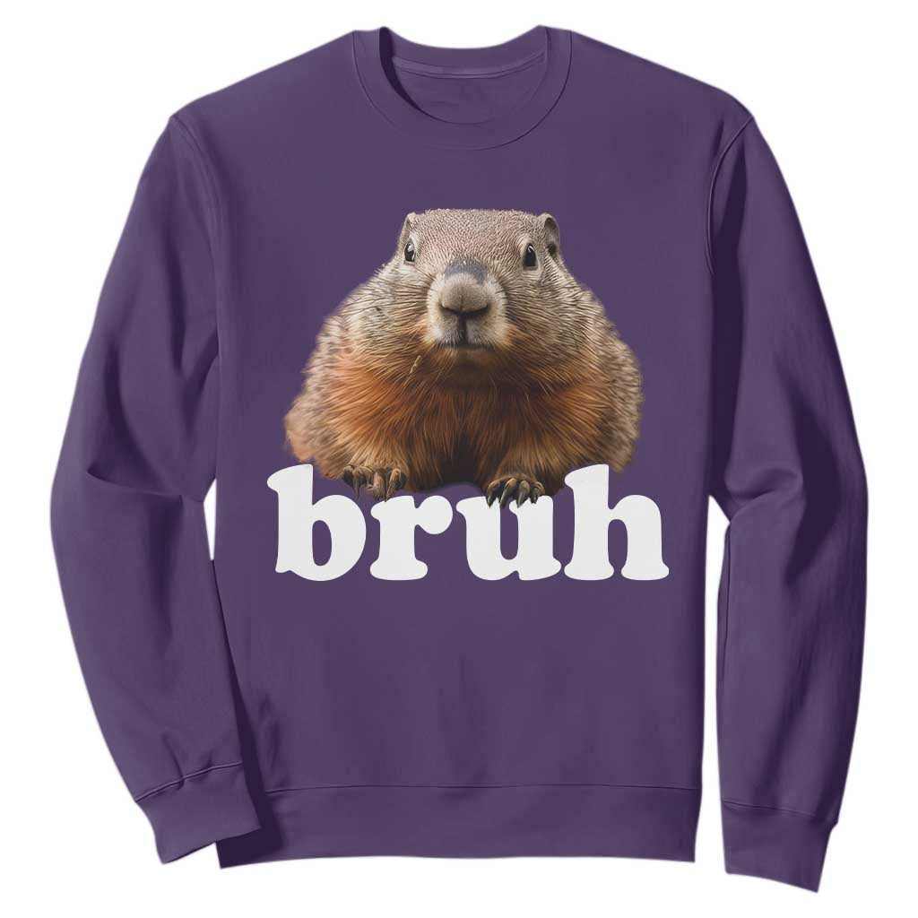 Bruh Groundhog Sweatshirt Funny Woodchuck Youth Teens Kids Slang TS10 Purple Print Your Wear