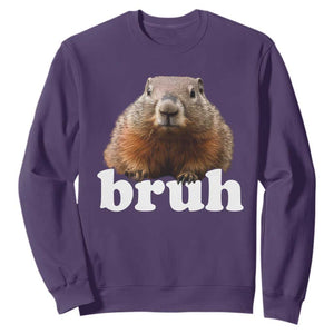 Bruh Groundhog Sweatshirt Funny Woodchuck Youth Teens Kids Slang TS10 Purple Print Your Wear