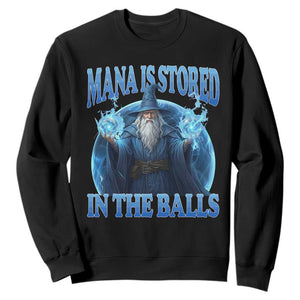 Funny Wizard Sweatshirt Mana is Stored in The Balls Magician Sorcerer Witcher TS10 Black Print Your Wear