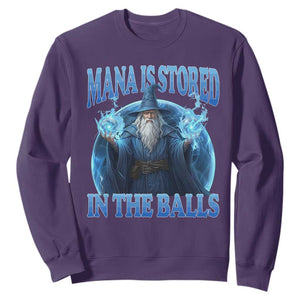 Funny Wizard Sweatshirt Mana is Stored in The Balls Magician Sorcerer Witcher TS10 Purple Print Your Wear
