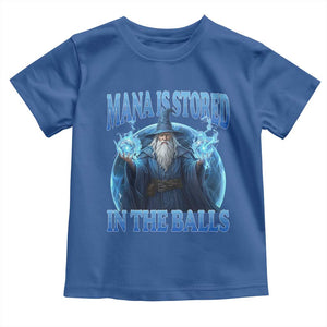 Funny Wizard Toddler T Shirt Mana is Stored in The Balls Magician Sorcerer Witcher TS10 Royal Blue Print Your Wear