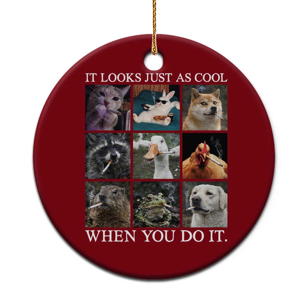 Animals Smoking Cigarettes Meme Ceramic Ornament It Looks Just as Cool When You Do It TS10 1pc Red Print Your Wear