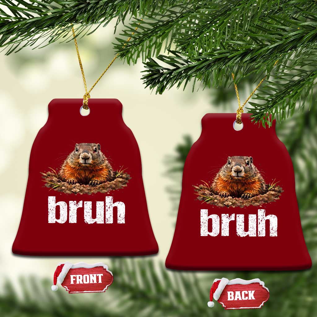 Funny Groundhog Ceramic Ornament Ground Hog Meme Lover Bruh Groundhog Day TS10 Print Your Wear