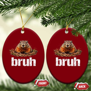 Funny Groundhog Ceramic Ornament Ground Hog Meme Lover Bruh Groundhog Day TS10 Print Your Wear