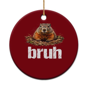 Funny Groundhog Ceramic Ornament Ground Hog Meme Lover Bruh Groundhog Day TS10 1pc Red Print Your Wear