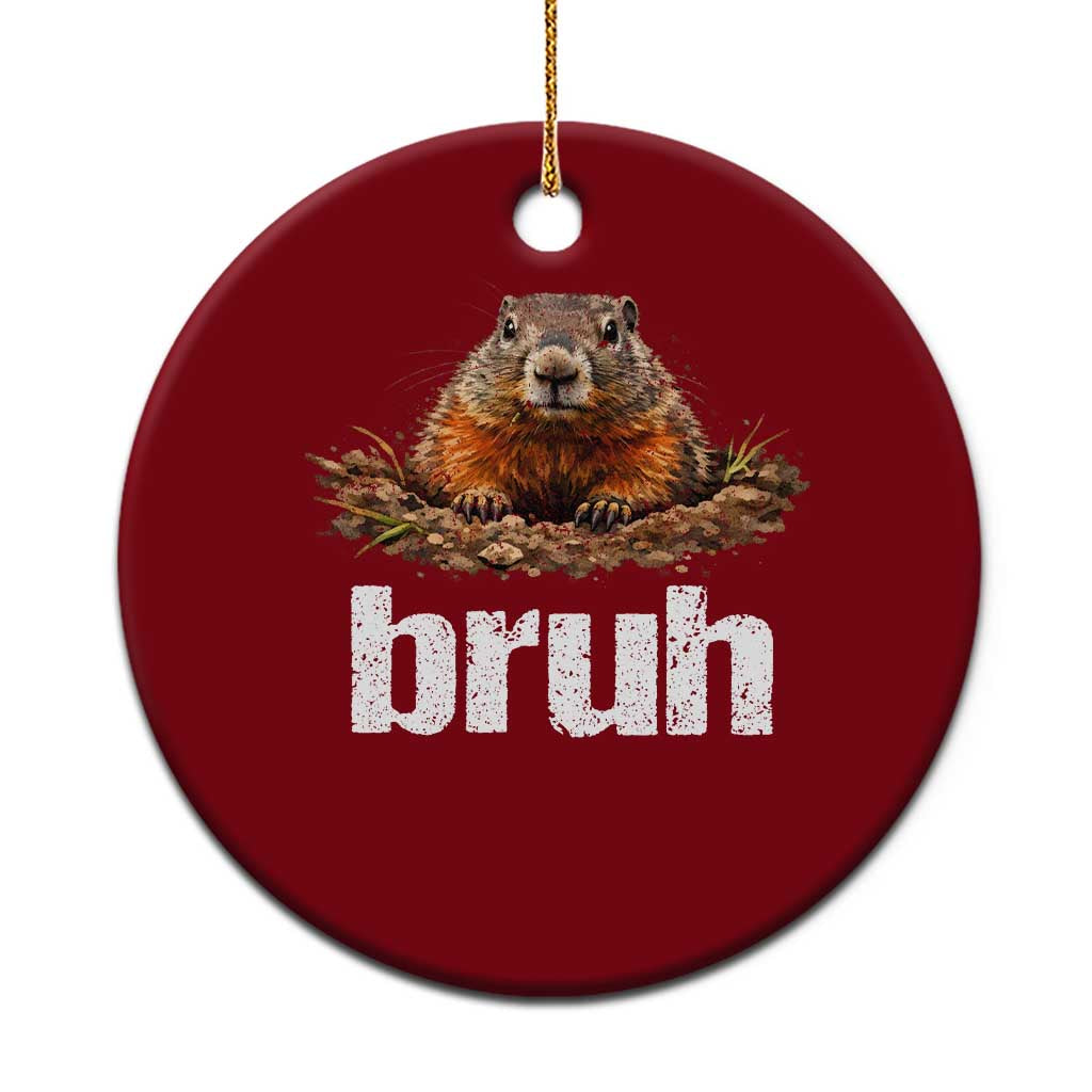 Funny Groundhog Ceramic Ornament Ground Hog Meme Lover Bruh Groundhog Day TS10 1pc Red Print Your Wear
