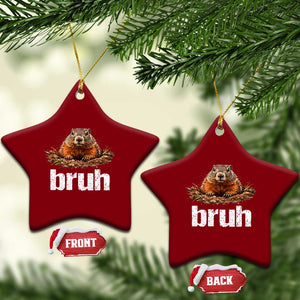 Funny Groundhog Ceramic Ornament Ground Hog Meme Lover Bruh Groundhog Day TS10 Print Your Wear