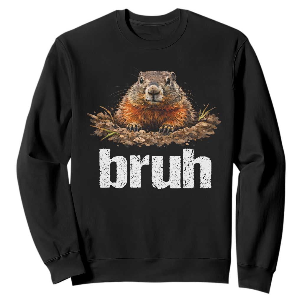 Funny Groundhog Sweatshirt Ground Hog Meme Lover Bruh Groundhog Day TS10 Black Print Your Wear