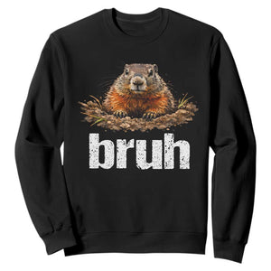 Funny Groundhog Sweatshirt Ground Hog Meme Lover Bruh Groundhog Day TS10 Black Print Your Wear