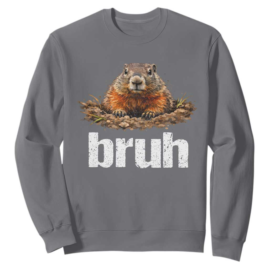 Funny Groundhog Sweatshirt Ground Hog Meme Lover Bruh Groundhog Day TS10 Charcoal Print Your Wear