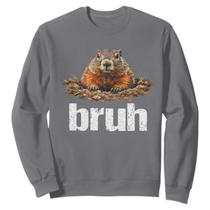 Funny Groundhog Sweatshirt Ground Hog Meme Lover Bruh Groundhog Day TS10 Charcoal Print Your Wear
