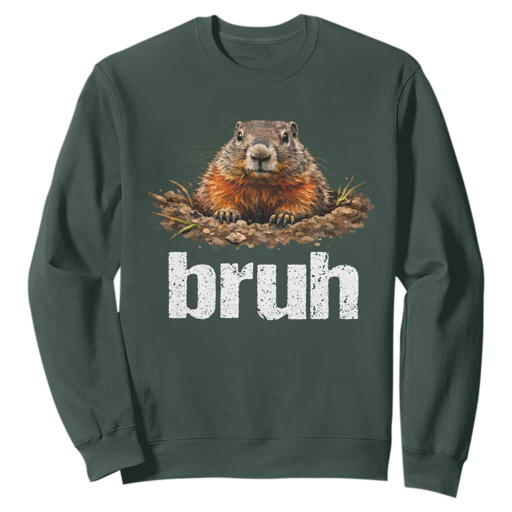 Funny Groundhog Sweatshirt Ground Hog Meme Lover Bruh Groundhog Day TS10 Dark Forest Green Print Your Wear