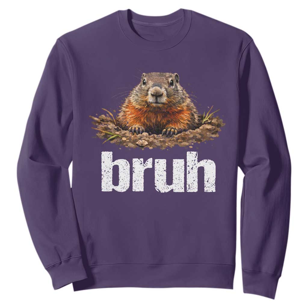 Funny Groundhog Sweatshirt Ground Hog Meme Lover Bruh Groundhog Day TS10 Purple Print Your Wear