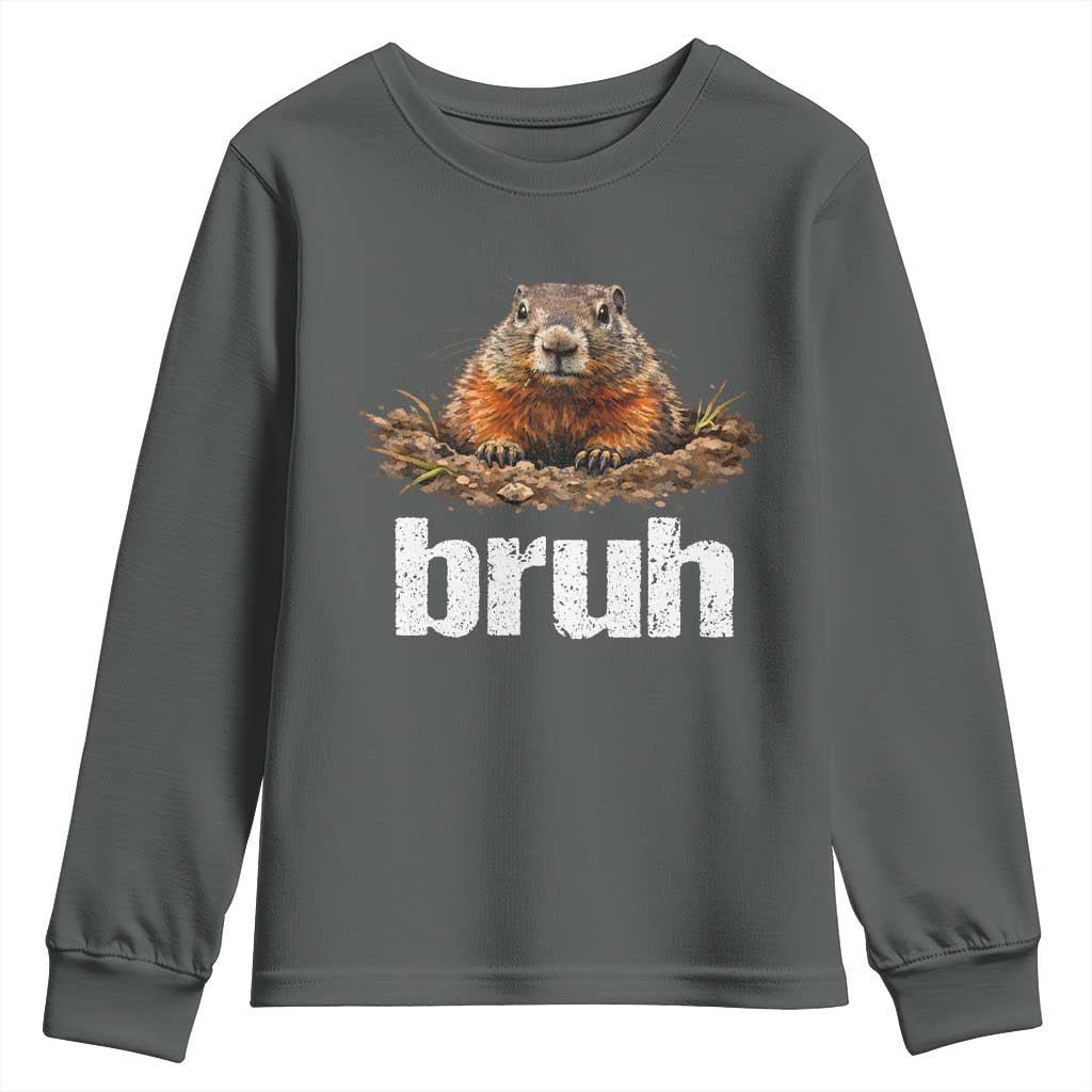 Funny Groundhog Youth Sweatshirt Ground Hog Meme Lover Bruh Groundhog Day TS10 Dark Heather Print Your Wear