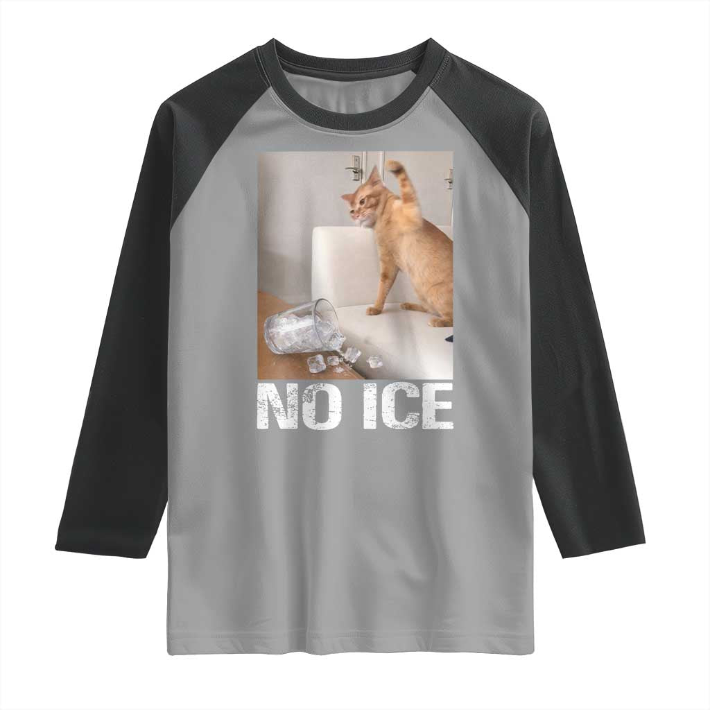 Funny Cat Meme No Ice Raglan Shirt Subtle FDT Political Satire Satirical Humor TS10 Sport Gray Black Print Your Wear