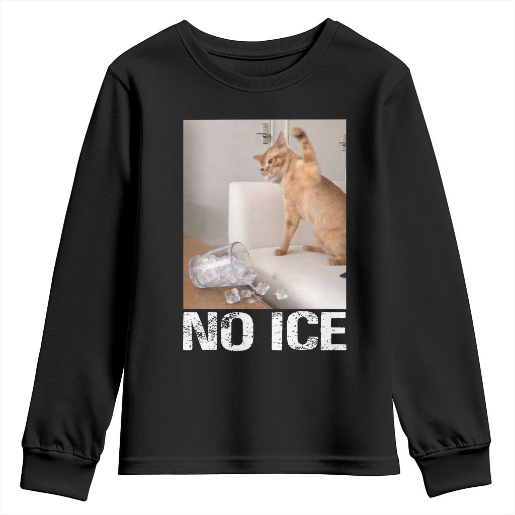 Funny Cat Meme No Ice Youth Sweatshirt Subtle FDT Political Satire Satirical Humor TS10 Black Print Your Wear