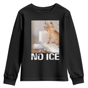 Funny Cat Meme No Ice Youth Sweatshirt Subtle FDT Political Satire Satirical Humor TS10 Black Print Your Wear