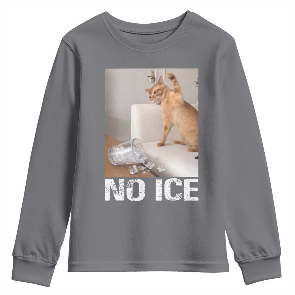 Funny Cat Meme No Ice Youth Sweatshirt Subtle FDT Political Satire Satirical Humor TS10 Charcoal Print Your Wear